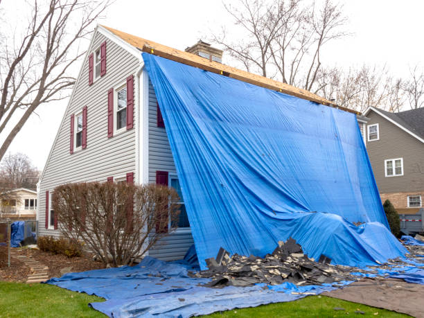 Best Yard Waste Removal  in Reynoldsville, PA